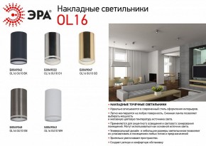 Накладной светильник Эра OL16 GU10 BK Б0049042 в Нефтекамске - neftekamsk.ok-mebel.com | фото 3