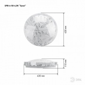 Накладной светильник Эра Relict SPB-6-50-6,5K Syuzi в Нефтекамске - neftekamsk.ok-mebel.com | фото 3