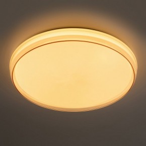 Накладной светильник Эра  SPB-6-80-RC Solar RGBD в Нефтекамске - neftekamsk.ok-mebel.com | фото 2