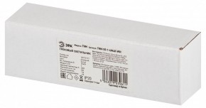 Накладной светильник Эра  TRM-S5-1-6W4K-WH в Нефтекамске - neftekamsk.ok-mebel.com | фото 6