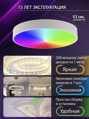 Накладной светильник Natali Kovaltseva MODERN LED LAMPS 81105/2C в Нефтекамске - neftekamsk.ok-mebel.com | фото 6
