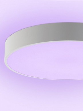 Накладной светильник Natali Kovaltseva MODERN LED LAMPS 81105/2C в Нефтекамске - neftekamsk.ok-mebel.com | фото 9
