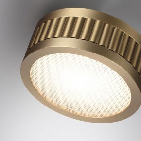Накладной светильник Odeon Light Manchester 7013/7CL в Нефтекамске - neftekamsk.ok-mebel.com | фото 5