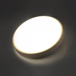 Накладной светильник Sonex Losta 7607/CL в Нефтекамске - neftekamsk.ok-mebel.com | фото 3