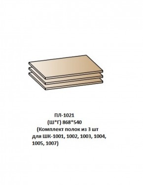 ПЛ-1021 (Комплект полок из 3 шт для ШК-1001, 1002, 1003, 1004, 1005, 1007) в Нефтекамске - neftekamsk.ok-mebel.com | фото
