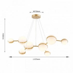 Подвесная люстра Favourite Asterismo 4448-8P в Нефтекамске - neftekamsk.ok-mebel.com | фото 4