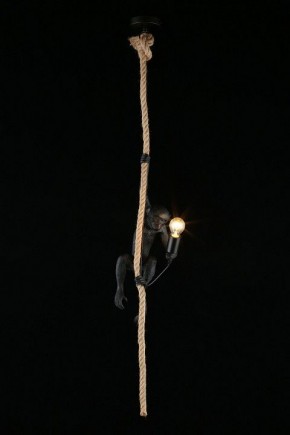 Подвесной светильник Aployt Magali APL.309.16.01 в Нефтекамске - neftekamsk.ok-mebel.com | фото 3