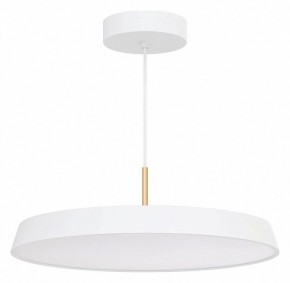 Подвесной светильник Arlight ELEGANT 033925(1) в Нефтекамске - neftekamsk.ok-mebel.com | фото 2