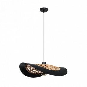 Подвесной светильник Arte Lamp Woodstock A7059SP-1BK в Нефтекамске - neftekamsk.ok-mebel.com | фото 2