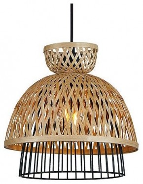 Подвесной светильник Arte Lamp Woodstock A7070SP-1BK в Нефтекамске - neftekamsk.ok-mebel.com | фото 2