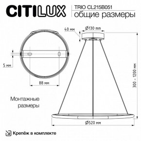 Подвесной светильник Citilux Trio CL215B051 в Нефтекамске - neftekamsk.ok-mebel.com | фото 8