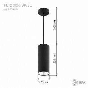 Подвесной светильник Эра  PL12 GX53 BK/SL в Нефтекамске - neftekamsk.ok-mebel.com | фото 8