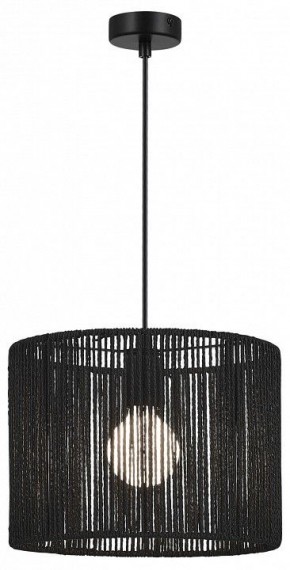 Подвесной светильник EVOLUCE ETTAN SLE6024-403-01 в Нефтекамске - neftekamsk.ok-mebel.com | фото 2