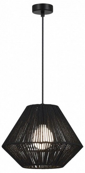 Подвесной светильник EVOLUCE ETTAN SLE6025-403-01 в Нефтекамске - neftekamsk.ok-mebel.com | фото 2