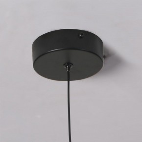 Подвесной светильник Favourite Wilet 4656-1P в Нефтекамске - neftekamsk.ok-mebel.com | фото 10