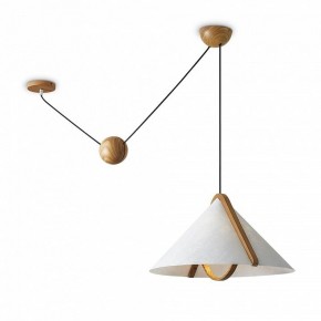 Подвесной светильник Freya Umbra FR5554CL-01T в Нефтекамске - neftekamsk.ok-mebel.com | фото 2