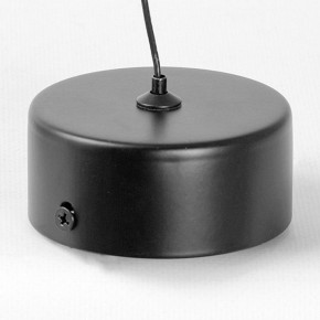 Подвесной светильник Lussole Blount LSP-7356 в Нефтекамске - neftekamsk.ok-mebel.com | фото 6