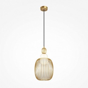 Подвесной светильник Maytoni Levitation MOD376PL-01G1 в Нефтекамске - neftekamsk.ok-mebel.com | фото 2