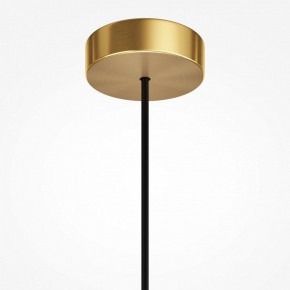 Подвесной светильник Maytoni Levitation MOD376PL-01G1 в Нефтекамске - neftekamsk.ok-mebel.com | фото 7
