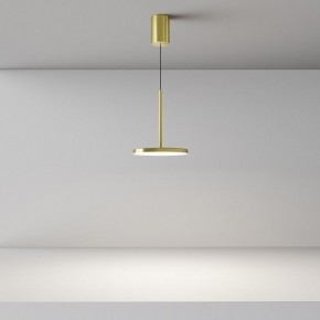 Подвесной светильник Maytoni Plato P076PL-L12W4K-BS в Нефтекамске - neftekamsk.ok-mebel.com | фото 4