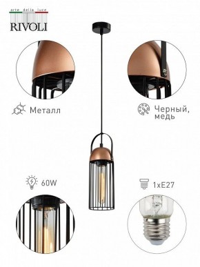 Подвесной светильник Rivoli Anemon Б0047359 в Нефтекамске - neftekamsk.ok-mebel.com | фото 6