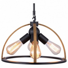 Подвесной светильник TopLight Jasmin TL1179H-04BK в Нефтекамске - neftekamsk.ok-mebel.com | фото