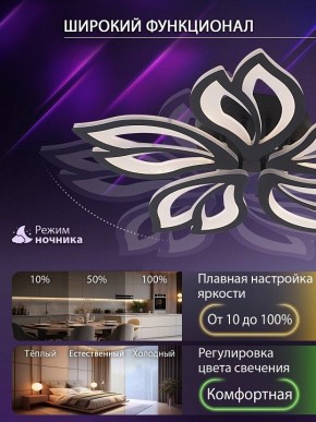 Потолочная люстра Natali Kovaltseva FORTUNA LED LAMPS 81107/5C в Нефтекамске - neftekamsk.ok-mebel.com | фото 6
