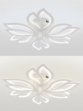 Потолочная люстра Natali Kovaltseva FORTUNA LED LAMPS 81107/6C в Нефтекамске - neftekamsk.ok-mebel.com | фото 4