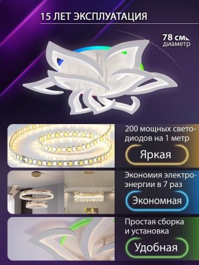 Потолочная люстра Natali Kovaltseva OLIMP LED LAMPS 81435 в Нефтекамске - neftekamsk.ok-mebel.com | фото 5