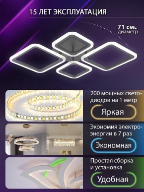 Потолочная люстра Natali Kovaltseva OPTI LED LAMPS 81108/2C в Нефтекамске - neftekamsk.ok-mebel.com | фото 5
