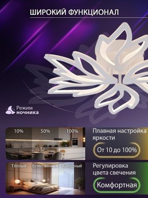 Потолочная люстра Natali Kovaltseva RIF LED LAMPS 81118/5C в Нефтекамске - neftekamsk.ok-mebel.com | фото 6
