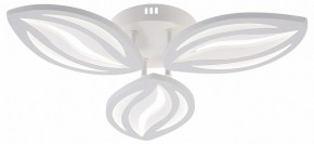 Потолочная люстра Natali Kovaltseva SM LED LAMPS 81456 в Нефтекамске - neftekamsk.ok-mebel.com | фото