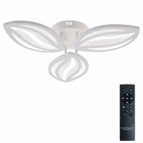 Потолочная люстра Natali Kovaltseva SM LED LAMPS 81456 в Нефтекамске - neftekamsk.ok-mebel.com | фото 2