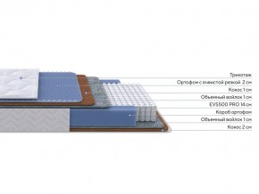 PROxSON Матрас Active Duo M/F (Ткань Трикотаж Эко) 120x200 в Нефтекамске - neftekamsk.ok-mebel.com | фото