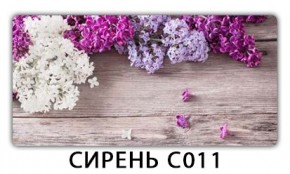 Раздвижной трансформер Трилогия с фотопечатью Орхидея C013 в Нефтекамске - neftekamsk.ok-mebel.com | фото 16