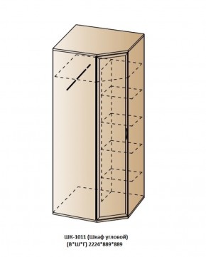 ШК-1011 (Шкаф угловой) в Нефтекамске - neftekamsk.ok-mebel.com | фото