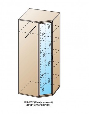 ШК-1012 (Шкаф угловой) в Нефтекамске - neftekamsk.ok-mebel.com | фото