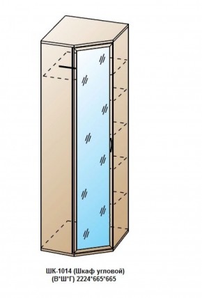 ШК-1014 (Шкаф угловой) в Нефтекамске - neftekamsk.ok-mebel.com | фото