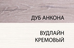 Шкаф 1DG, OLIVIA, цвет вудлайн крем/дуб анкона в Нефтекамске - neftekamsk.ok-mebel.com | фото 3