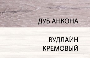 Шкаф 1DZ, OLIVIA, цвет вудлайн крем/дуб анкона в Нефтекамске - neftekamsk.ok-mebel.com | фото 3