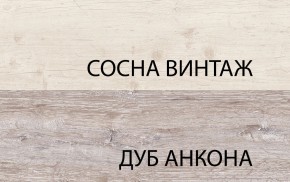 Шкаф 2D1S, MONAKO, цвет Сосна винтаж/дуб анкона в Нефтекамске - neftekamsk.ok-mebel.com | фото 1