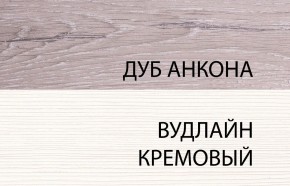 Шкаф 2DG, OLIVIA, цвет вудлайн крем/дуб анкона в Нефтекамске - neftekamsk.ok-mebel.com | фото 3