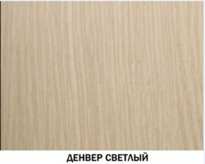 Шкаф для одежды №609 "Инна" Денвер светлый (*без полок) в Нефтекамске - neftekamsk.ok-mebel.com | фото 4
