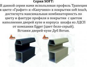Шкаф-купе 1600 серии SOFT D8+D2+B2+PL4 (2 ящика+F обр.штанга) профиль «Графит» в Нефтекамске - neftekamsk.ok-mebel.com | фото 12