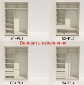 Шкаф-купе 1600 серии SOFT D8+D2+B2+PL4 (2 ящика+F обр.штанга) профиль «Капучино» в Нефтекамске - neftekamsk.ok-mebel.com | фото 4