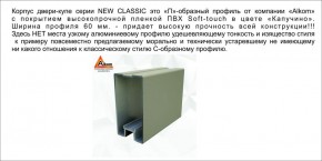 Шкаф-купе 1700 серии NEW CLASSIC K2+K2+B2+PL2(2 ящика+1 штанга+1 полка) профиль «Капучино» в Нефтекамске - neftekamsk.ok-mebel.com | фото 17