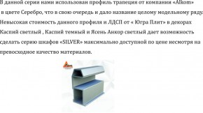 Шкаф-купе 2250 серии SILVER S6+S1+S6Z B22+PL1 (по 2 ящика лев/прав+1 штанга) профиль «Серебро» в Нефтекамске - neftekamsk.ok-mebel.com | фото 16