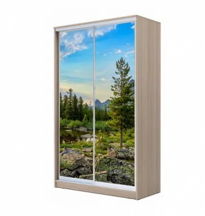 Шкаф-купе ХИТ 22-4-12/2-77 (420) в Нефтекамске - neftekamsk.ok-mebel.com | фото 12