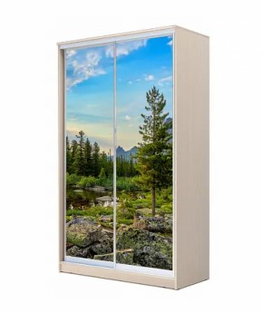 Шкаф-купе ХИТ 22-4-12/2-77 (420) в Нефтекамске - neftekamsk.ok-mebel.com | фото 14