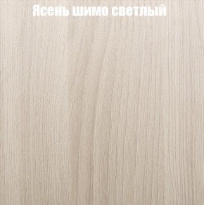 Шкаф-купе «ТАНДЕМ» 2-х дверный в алюминиевом профиле (Дверь ЛДСП+Z) 1800/h2200 в Нефтекамске - neftekamsk.ok-mebel.com | фото 6
